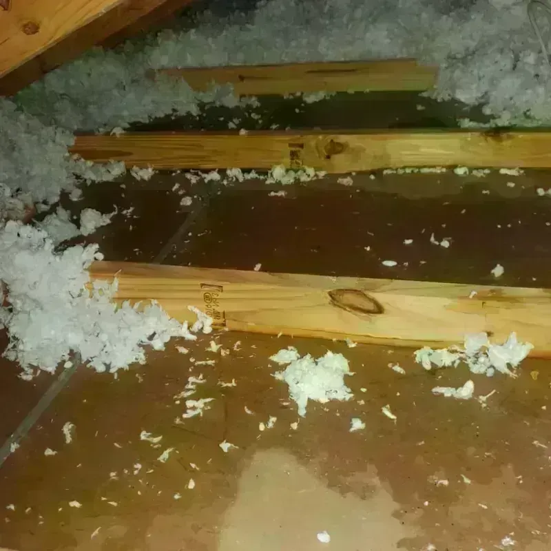 Attic Water Damage in Basye, VA